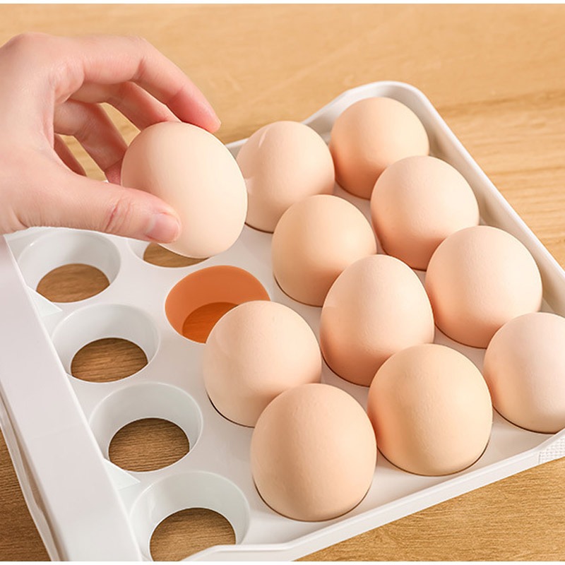 Boîte de rangement pour œufs à - Egg Storage Holder avis et prix