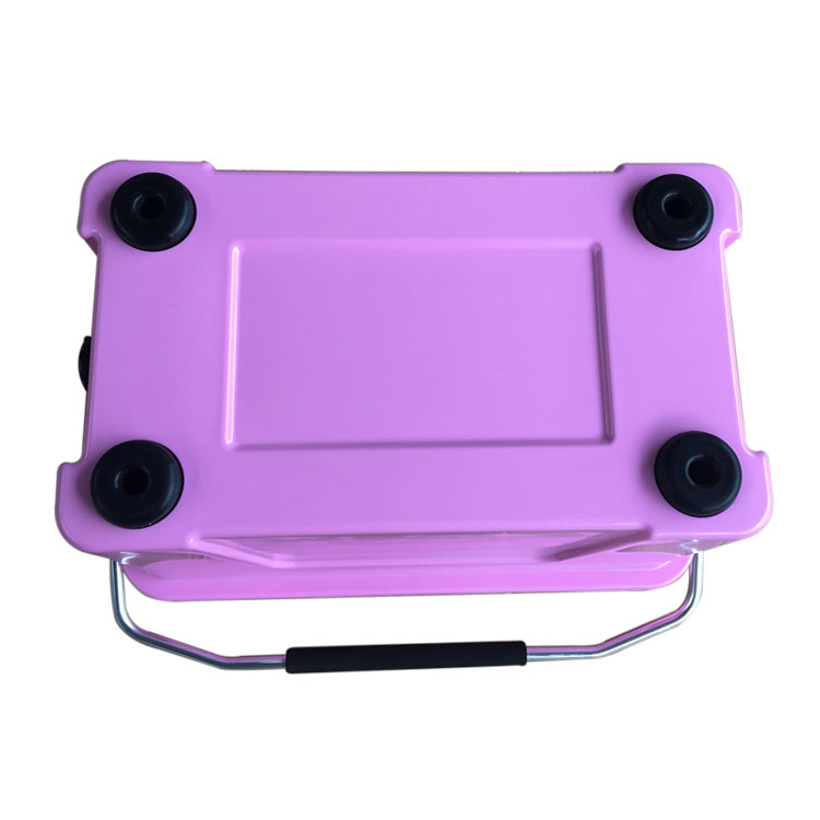 Glacière rigide moderne 20L en - Food Storage In Cooler avis et prix