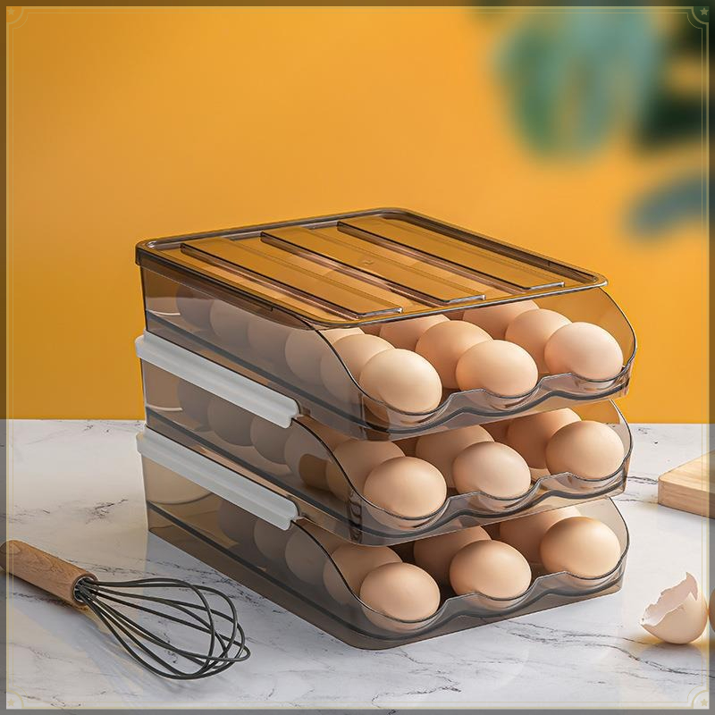 Boîte de rangement pour œufs e - Egg Storage Holder avis et prix
