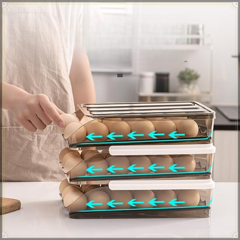 Boîte de rangement pour œufs e - Egg Storage Holder avis et prix