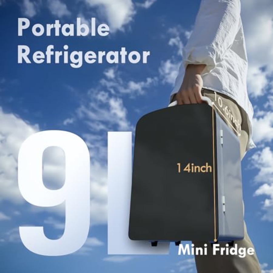 Mini-réfrigérateur 9L pour cha - Portable Food Warmer avis et prix